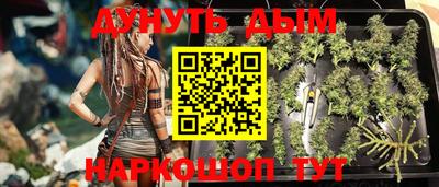 гашик Ногинск