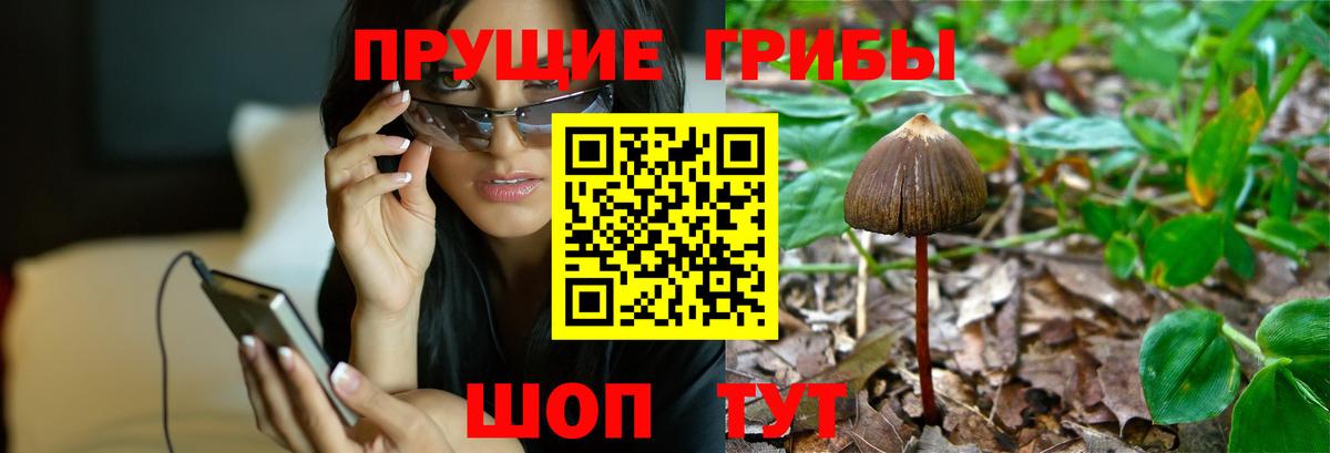 Галлюциногенные грибы ЛСД Орск